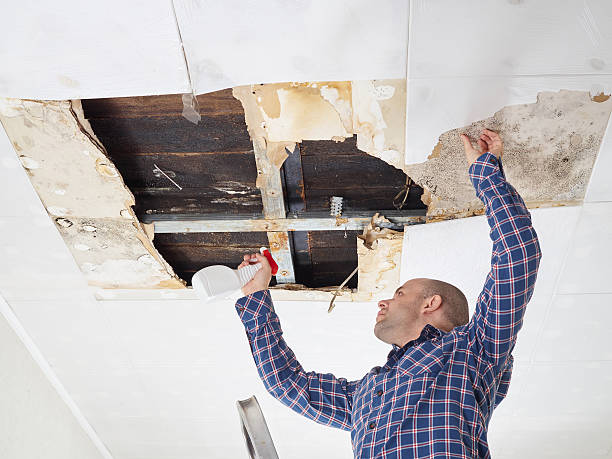 Mold Removal for HVAC Installations in Bernie, MO